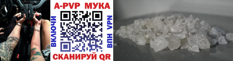 A PVP СК КРИС Няндома