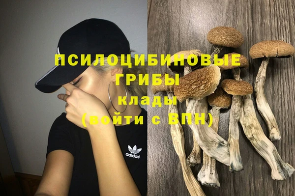 СК Нефтекумск