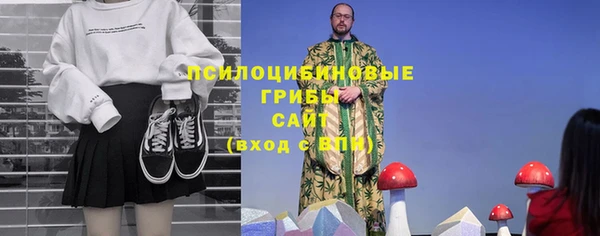 дмт Новозыбков