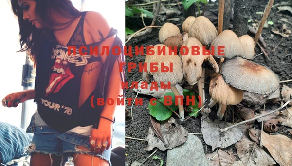 дмт Новозыбков