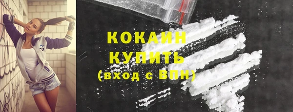 дмт Новозыбков