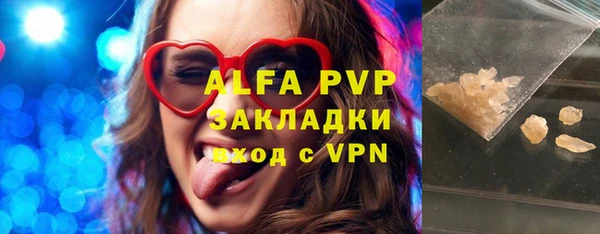спиды Новодвинск