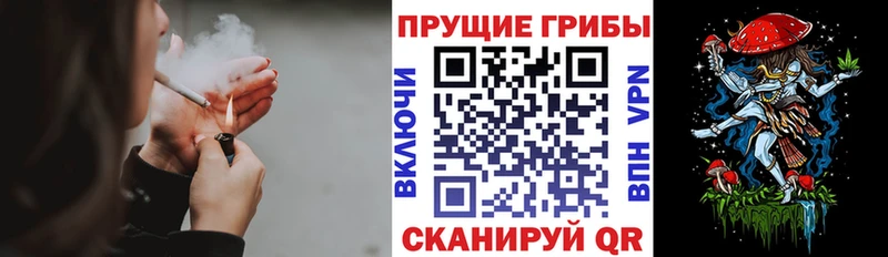 Купить закладки  Няндома  Галлюциногенные грибы MAGIC MUSHROOMS 